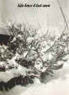 Snow side fence